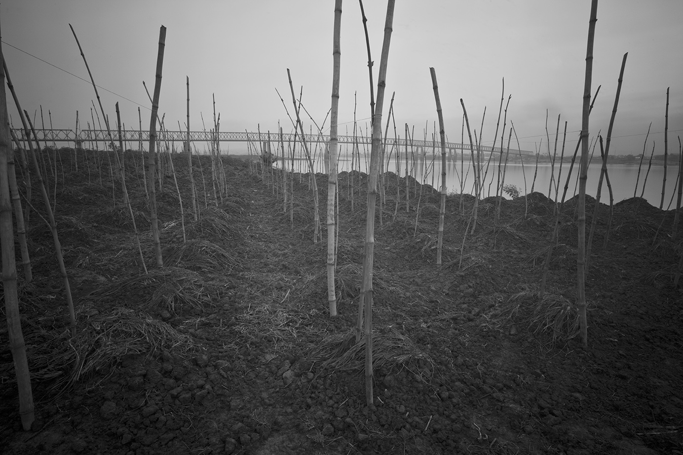 Bond III-Niger Bridge